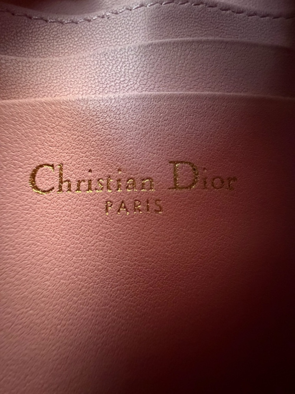 CHRISTIAN DIOR Goatskin Saddle Rodeo Pouch in Pink - Picture 9 of 12